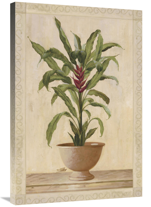 Global Gallery GCS-121181-2436-142 24 x 36 in. Potted Palm II Art Prin