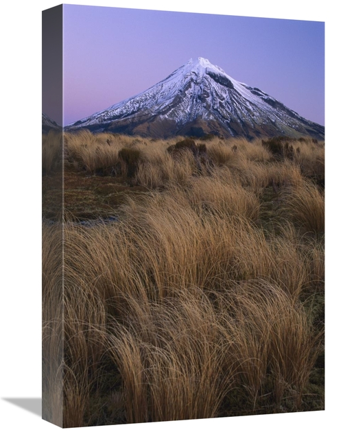 Global Gallery GCS-453502-1218-142 12 x 18 in. Mount Taranaki At Dusk&
