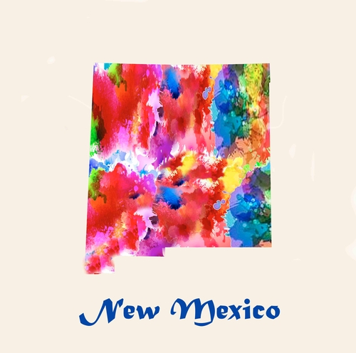 State Of New Mexico A 3 Inch Diameter Patches