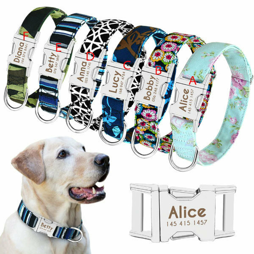 Personalized Dog ID Collar