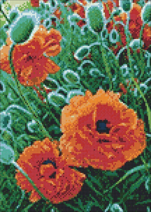 Poppie Field WD012 10.6 x 14.9 inches Wizardi Diamond Painting Kit