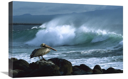 Global Gallery GCS-452308-1624-142 16 x 24 in. Brown Pelican & Ocean W