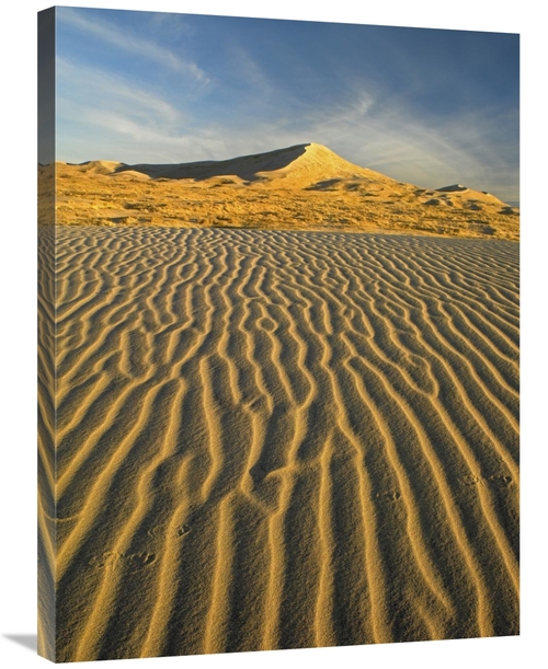 Global Gallery GCS-452131-2432-142 24 x 32 in. Wind Ripples in Kelso D