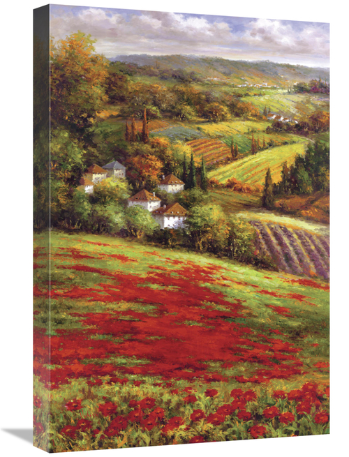 Global Gallery GCS-128429-1624-142 16 x 24 in. Valley VIew III Art Pri