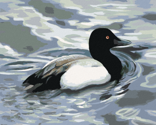 Zuty - Paint by Numbers - DUCK ON WATER (D. RUSTY RUST), 40x50 cm