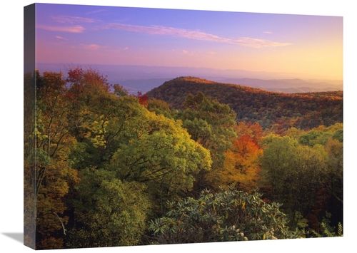 Global Gallery GCS-396763-1824-142 18 x 24 in. Blue Ridge Mountains wi