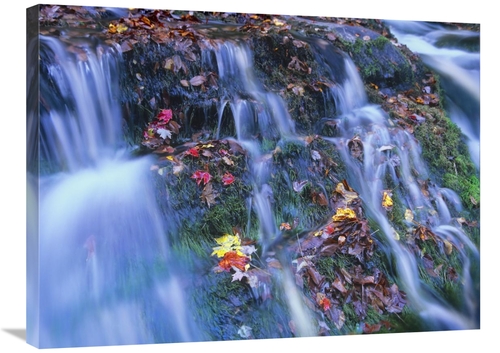 Global Gallery GCS-396767-2432-142 24 x 32 in. Laurel Creek Cascades&#