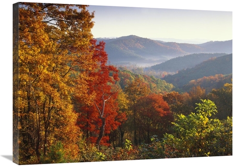 Global Gallery GCS-452015-2432-142 24 x 32 in. Autumn Foliage on Blue 