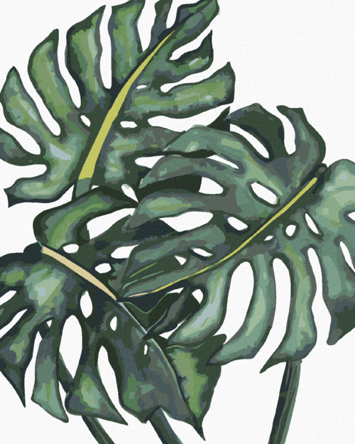 Paint by Numbers - MONSTERA LEAVES (ALEXANDRIA GILBERT)