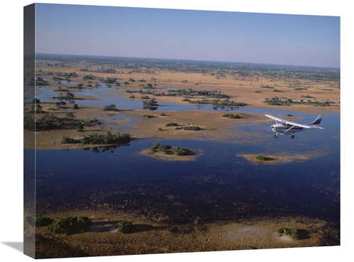 Global Gallery GCS-452364-2024-142 20 x 24 in. Flight Safari, Okav