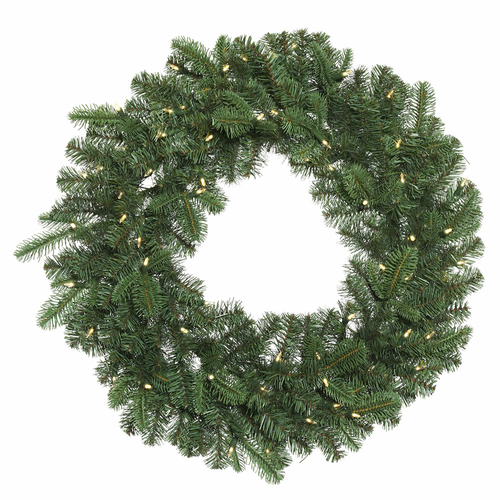 24 in. Grand Noble Green Wreath with 50 Warm White Dura Light