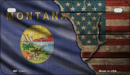 Smart Blonde MP-12405 7 x 4 in. Montana & American Flag Novelty Metal 