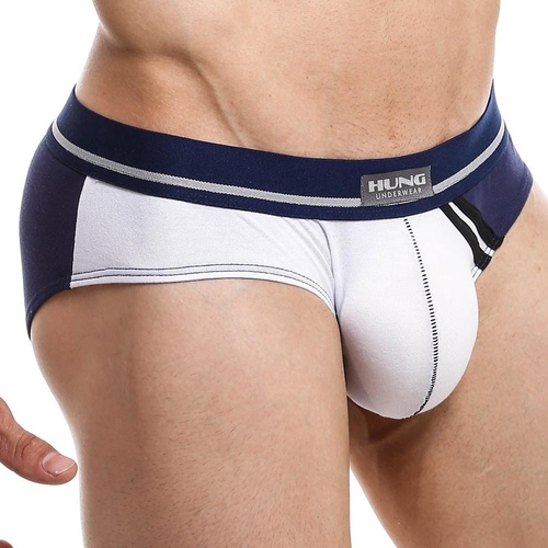 Hung HGJ010 Brief