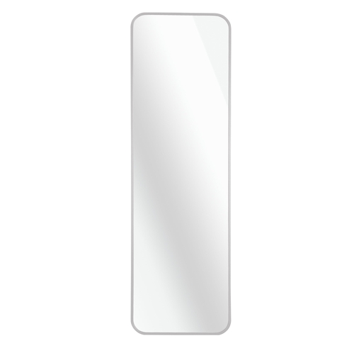 Silver 47 x 14IN Door mirror