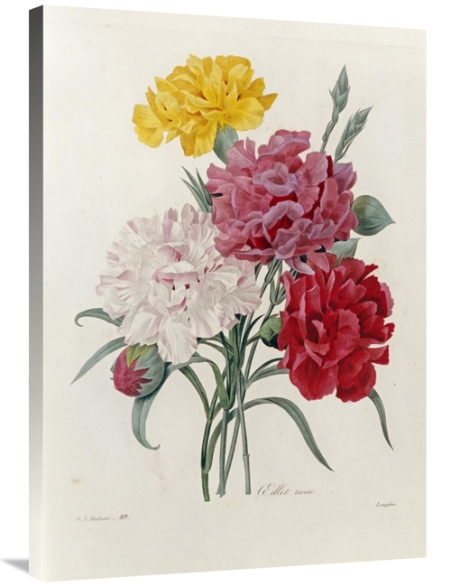 Global Gallery GCS-267092-36-142 36 in. Carnations Art Print - Pierre 