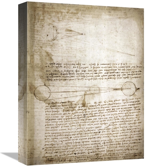 Global Gallery GCS-281936-16-142 16 in. Codex Leicester - The Changing