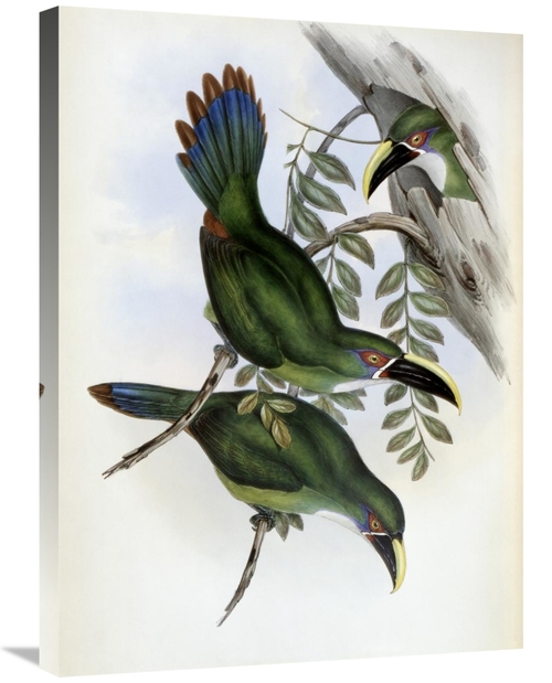 Global Gallery GCS-277798-30-142 30 in. White-Banded Groove-Bill - Tou