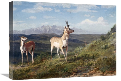 Global Gallery GCS-276735-22-142 22 in. Antelope Art Print - Albert Bi