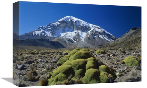 12 x 18 in. Cushion Plant & Nevado Sajama, Sajama National Park