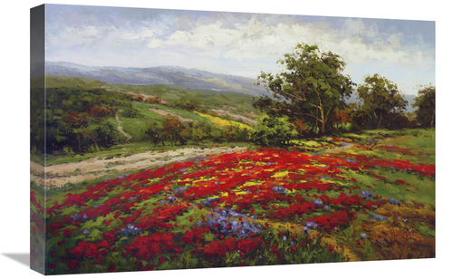 Global Gallery GCS-128432-1624-142 16 x 24 in. Campo Di Fiore II Art P