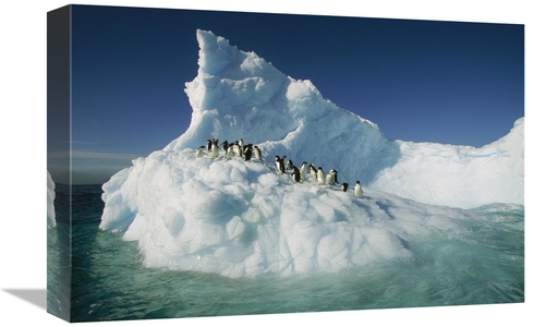 Global Gallery GCS-397791-1218-142 12 x 18 in. Adelie Penguin Group Ri