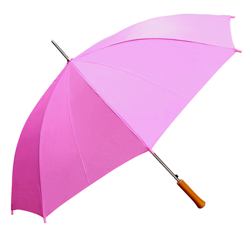 Pink Umbrella