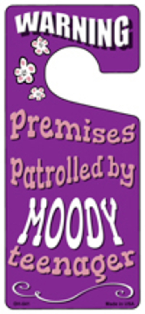 Smart Blonde DH-041 4 x 9 in. Moody Teenager Purple Novelty Metal Door