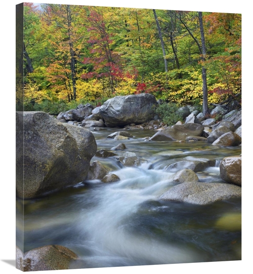 Global Gallery GCS-452248-30-142 30 in. Swift River in Fall, White