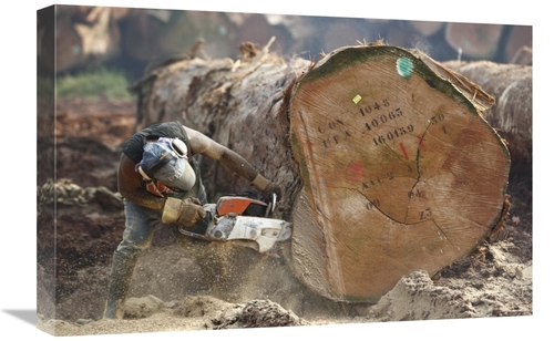 Global Gallery GCS-398086-1624-142 16 x 24 in. Logger Cutting Trunk of