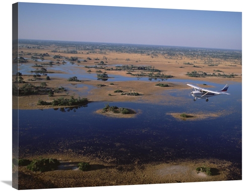 Global Gallery GCS-452364-2835-142 28 x 35 in. Flight Safari, Okav