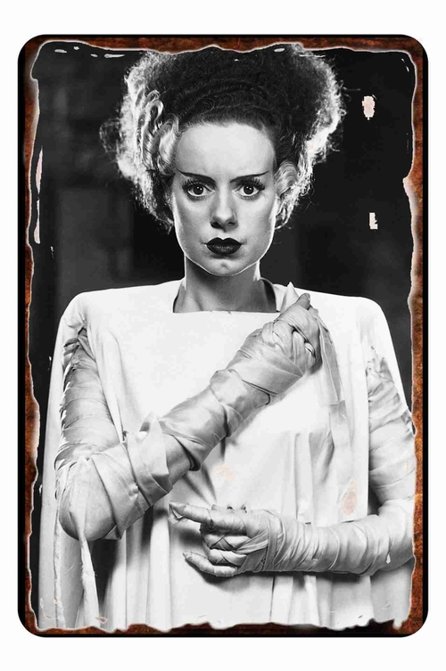 Bride OF Frankenstein 8 x 12 inch Metal Tin Sign