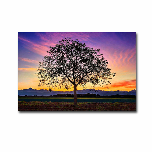 Artistic Home Gallery 1624A784EG Tree of Life by De Faveri Premium Gal