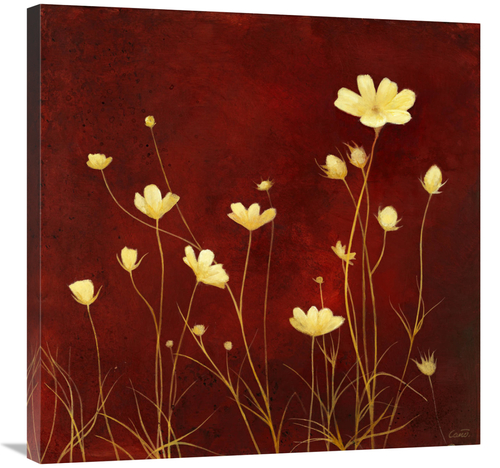 Global Gallery GCS-137416-3030-142 30 x 30 in. Flores En El Campo II A