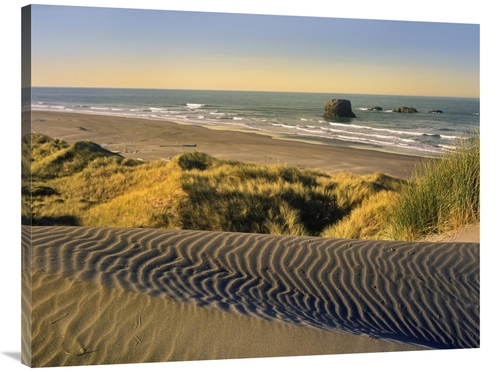 Global Gallery GCS-396070-3040-142 30 x 40 in. Coastline, Pistol R