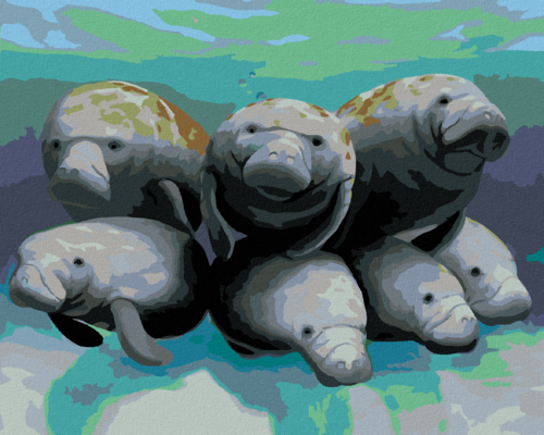 Malen nach Zahlen - SEVEN MANATEES (ROBERT JOHNSON)