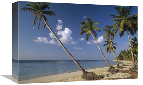Global Gallery GCS-452419-1218-142 12 x 18 in. Coconut Palm Trees & Be