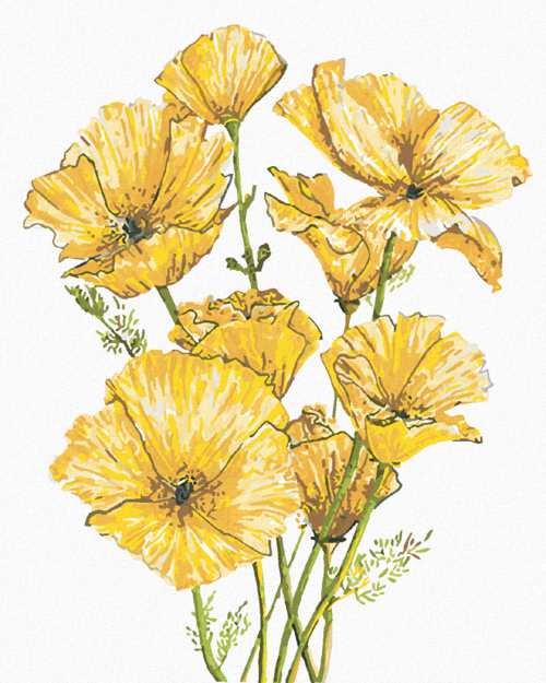 Paint by Numbers - YELLOW POPPIES (ALEXANDRIA GILBERT)