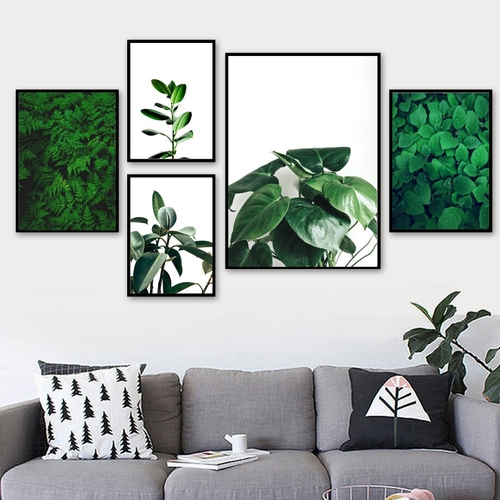 Green Fresh Leaf Indian Rubber Tree Wall