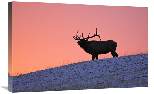 Global Gallery GCS-486501-30-142 30 in. Winter Sunrise Art Print - Vic