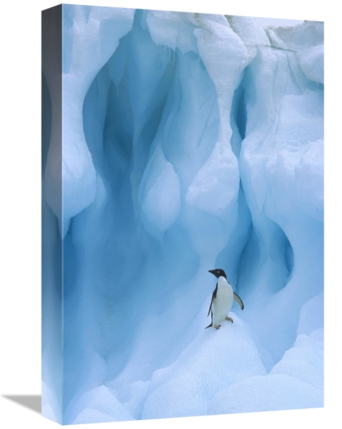 Global Gallery GCS-397777-1218-142 12 x 18 in. Adelie Penguin on Icebe