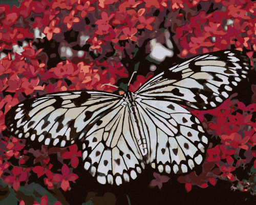 Paint by Numbers - WHITE BUTTERFLY AND RED FLOWERS