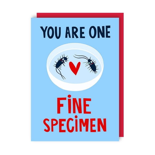Specimen Valentine's Day Science Card (Pack of 6)