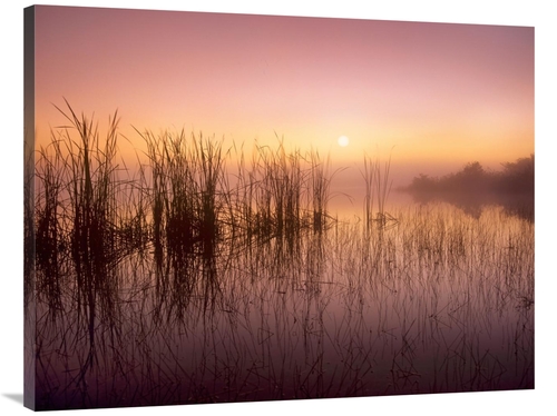 Global Gallery GCS-396970-3040-142 30 x 40 in. Reeds Reflected in Swee