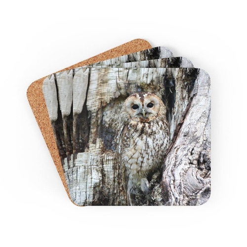 Corkwood Coaster 4 Piece Set - Grey Owl Coasters