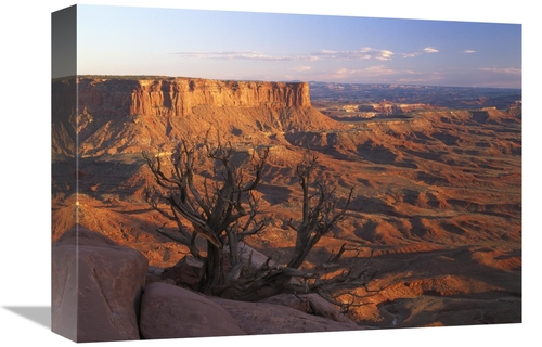 Global Gallery GCS-396625-1216-142 12 x 16 in. View From Green River O