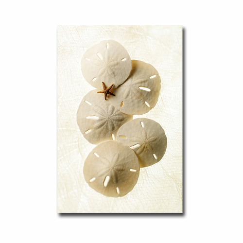 Artistic Home Gallery 1624D966EG Captiva 2 by Gayle & Glen Wans Premiu
