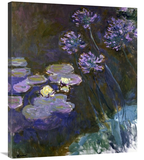 Global Gallery GCS-278727-36-142 36 in. Water Lilies & Agapanthus Art 