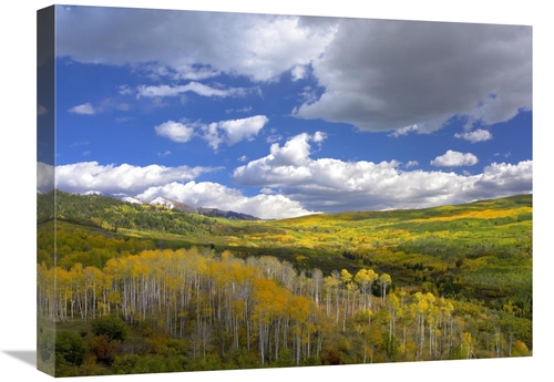 Global Gallery GCS-396154-1824-142 18 x 24 in. Gunnison National Fores