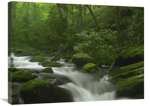 Global Gallery GCS-397059-2432-142 24 x 32 in. Roaring Fork River Flow