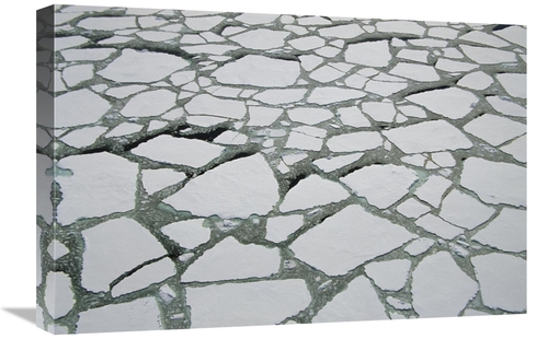 Global Gallery GCS-453461-1624-142 16 x 24 in. Heavy Pack Ice, Aer